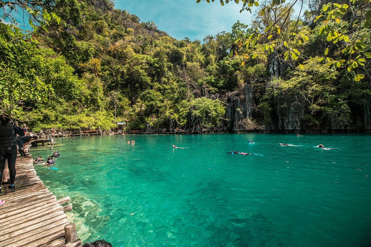 Lush tropical landscape in Palawan